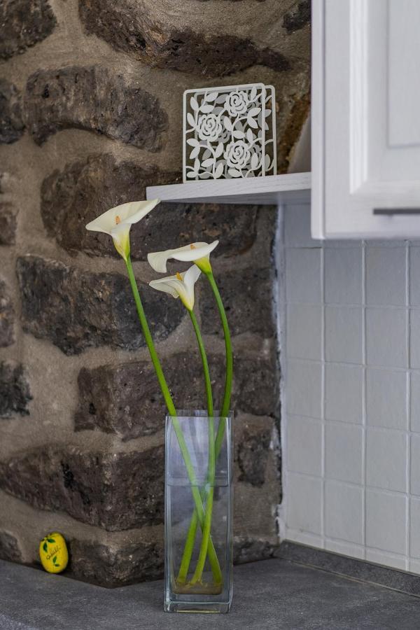 Nonna Carmela Apartment SantʼAgata sui Due Golfi Dış mekan fotoğraf