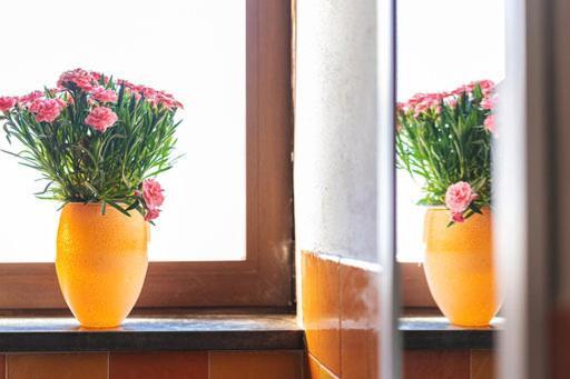 Nonna Carmela Apartment SantʼAgata sui Due Golfi Dış mekan fotoğraf