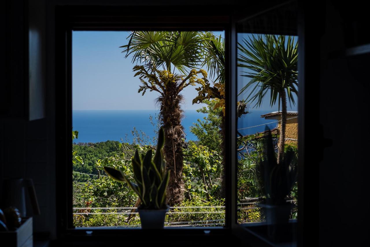 Nonna Carmela Apartment SantʼAgata sui Due Golfi Dış mekan fotoğraf
